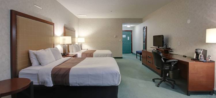 尼斯库艾德蒙顿机场温德姆华美达酒店(Ramada by Wyndham Nisku Edmonton Airport)图片