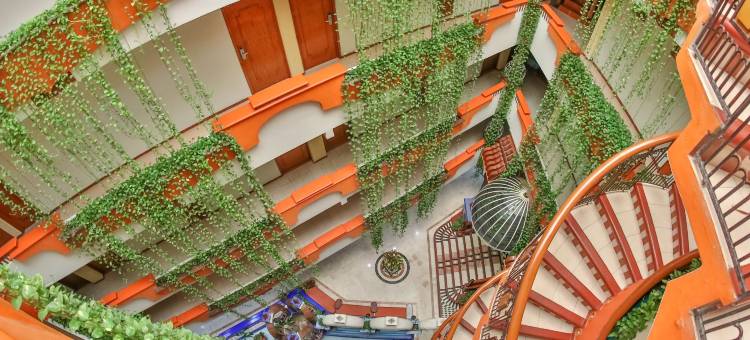 贝兹扎尔酒店(Hotel Báez Carrizal)图片