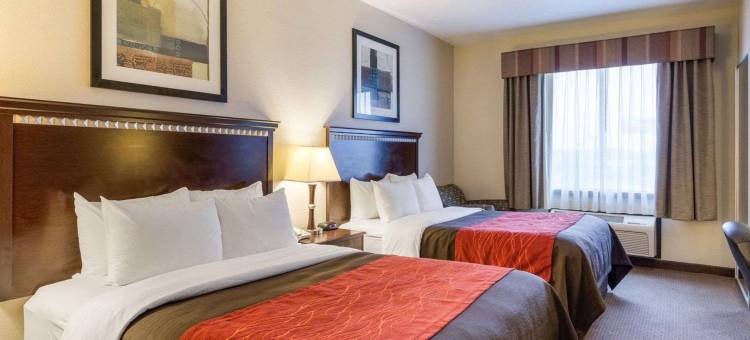 舒适套房酒店(Comfort Inn & Suites)图片