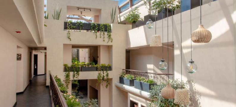 卡萨德尔阿尔玛精品酒店和spa(Casa del Alma Hotel Boutique & Spa)图片