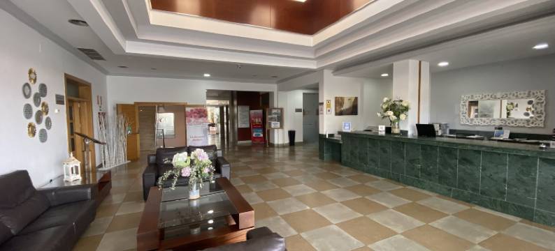 蒙特拉广场酒店(Hotel Montera Plaza)图片