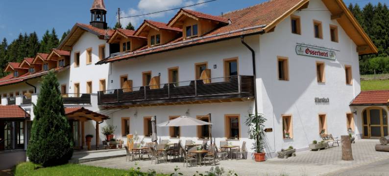 奥塞酒店(Osserhotel - B&B am Osser)图片