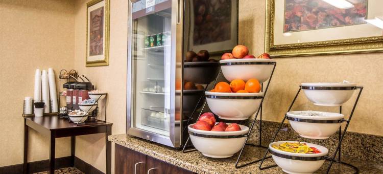 凯艺酒店(Quality Inn)图片