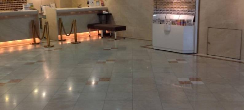 德岛华盛顿广场酒店(Tokushima Washington Hotel Plaza)图片