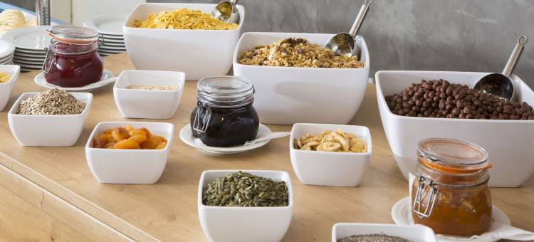 桑顿奥瑞度假村(Orea Resort Santon Brno)图片