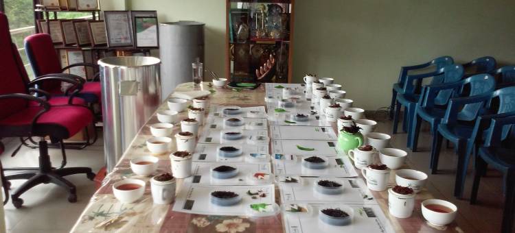 Nest住宅 - 旅舍(Nest Residence - Hostel)图片