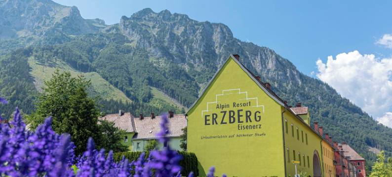 阿尔卑斯度假村之厄兹贝格阿尔卑斯度假村(Erzberg Alpin Resort by Alps Resorts)图片