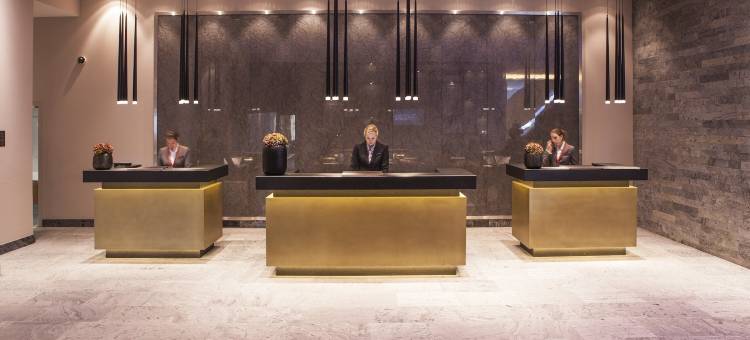 塔沃阿尔卑斯金酒店(AlpenGold Davos)图片