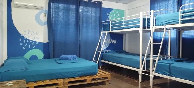 阿克雷拉旅馆(Acuarela Hostal)图片