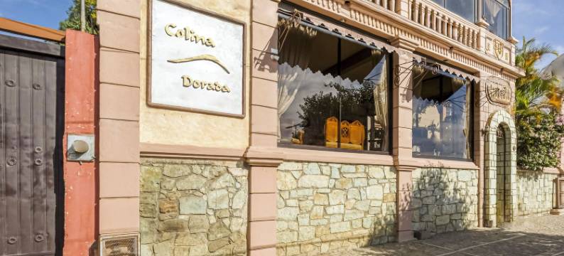 Capital O 金色山丘(Capital O Colina Dorada)图片