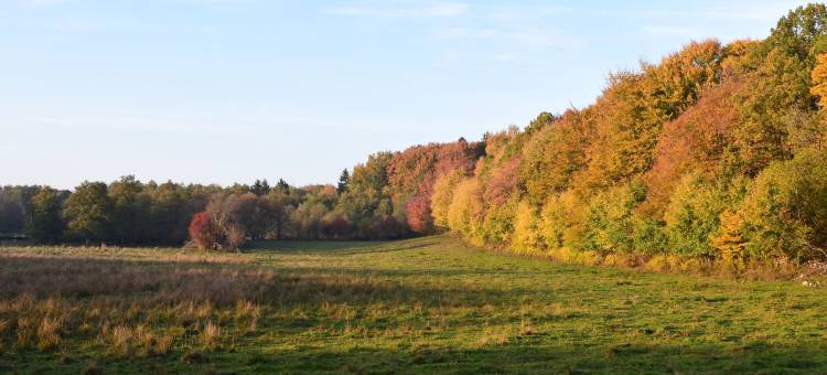 丽拉雷佳花园民宿(Lilla Rygården Bed & Breakfast)图片