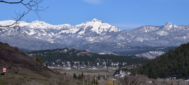 索柯汽车旅馆(Motel Soco)图片