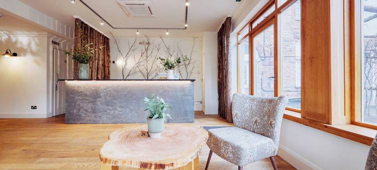 野性酒店(Wilding Hotel)图片