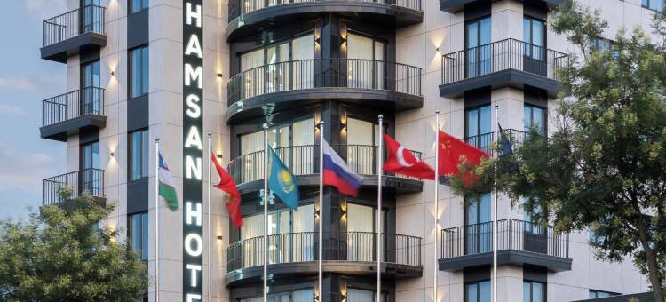 Shamsan机场酒店(Shamsan Airport Hotel)图片