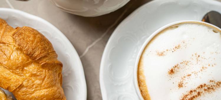 维也纳市中心艾莱雅酒店(Elaya Hotel Vienna City Center)图片