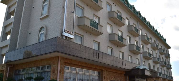 城堡酒店-铃鹿中央(Hotel Castle Inn Suzuka Chuo)图片