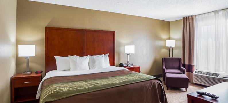 大学区舒适酒店(Comfort Inn University Area)图片