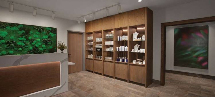 位于McLemore度假村的Cloudland，Curio Hilton山景房(Cloudland at McLemore Resort Lookout Mountain, Curio by Hilton)图片