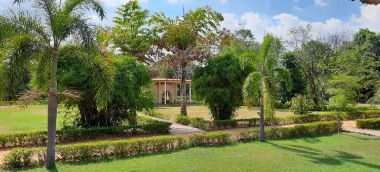 坎克尔宫古迹和KP小屋(KP Cottages)图片