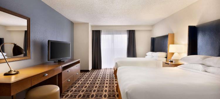 达拉斯沃斯堡国际机场南希尔顿Embassy Suites酒店(Embassy Suites by Hilton Dallas DFW Airport South)图片