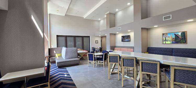 希尔顿欢朋套房酒店-芝加哥迪尔帕克(Hampton Inn & Suites Chicago Deer Park)图片