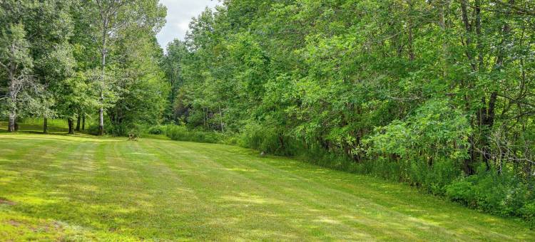 布卢姆维尔的卡茨基尔山小屋！(Catskills Mountain Cabin in Bloomville!)图片