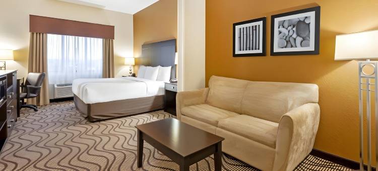 南本德拉昆塔温德姆套房酒店(La Quinta Inn & Suites by Wyndham South Bend)图片