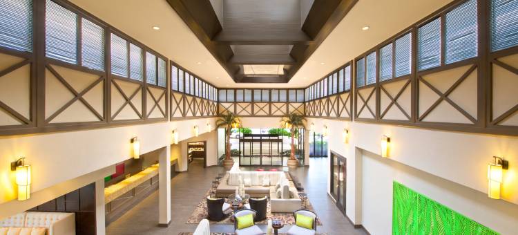 坦帕机场西岸希尔顿酒店(Hilton Tampa Airport Westshore)图片