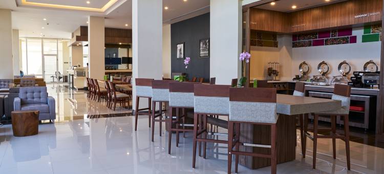伊拉普阿托欢朋酒店(Hampton Inn by Hilton Irapuato)图片