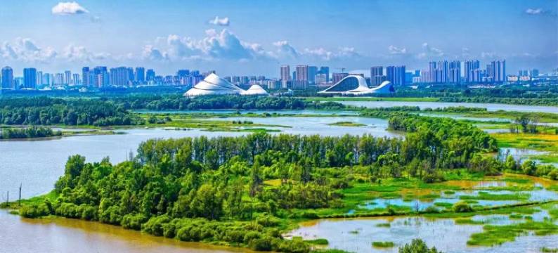 丽雅轩冰雪大世界太阳岛中央大街民宿(近江路分店)图片