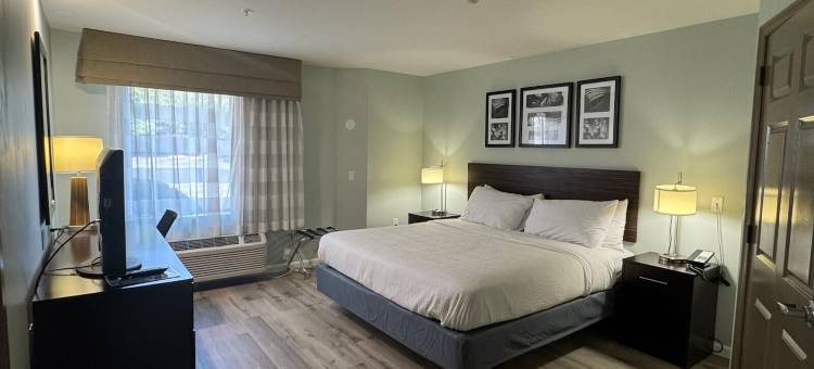 Wingate by Wyndham Bel Air I-95 Exit 77A / Apg Area图片