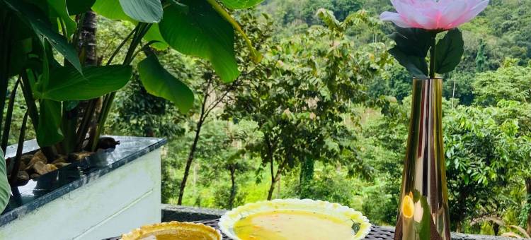 美居度假村瓦亚纳德(Mercure Resorts Wayanad)图片