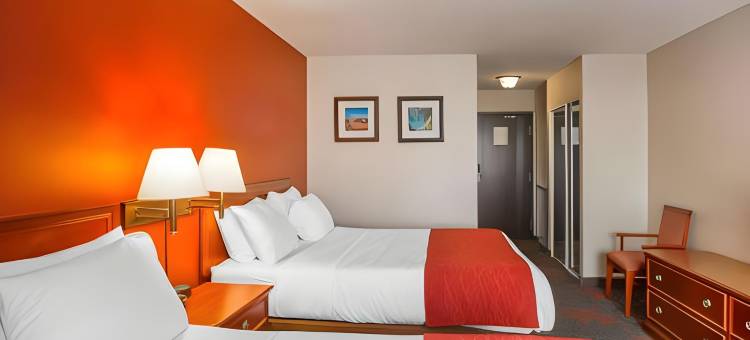 舒适酒店及套房大学(Comfort Inn & Suites University)图片