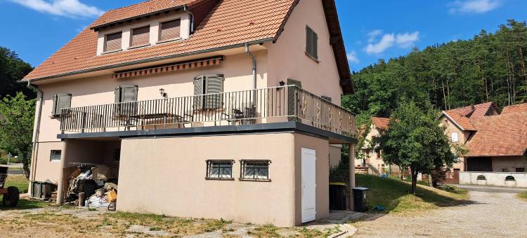 Holiday Home in Reipertswiller near Castle图片