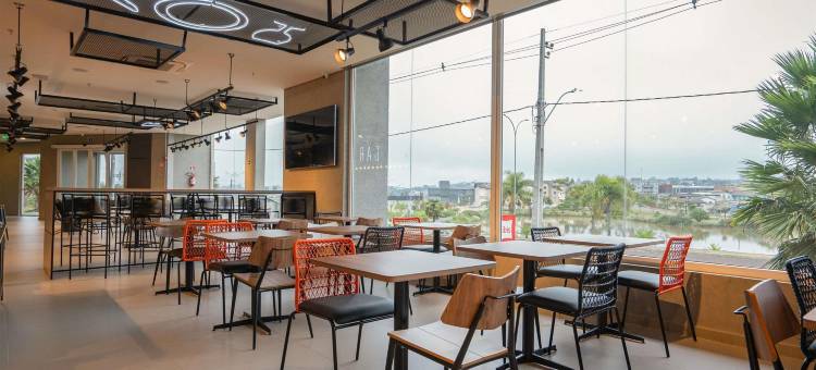 宜必思瓜拉普阿瓦酒店(Ibis Guarapuava)图片