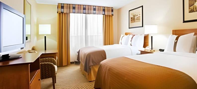 巴特尔克里克假日酒店(Holiday Inn BATTLE CREEK by IHG)图片