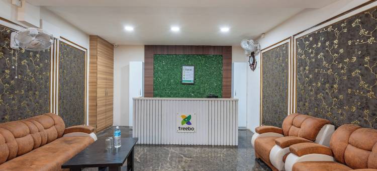 Treebo 绿橄榄(Treebo Green Olive)图片