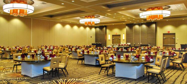 雷丁希尔顿逸林酒店(DoubleTree by Hilton Reading)图片