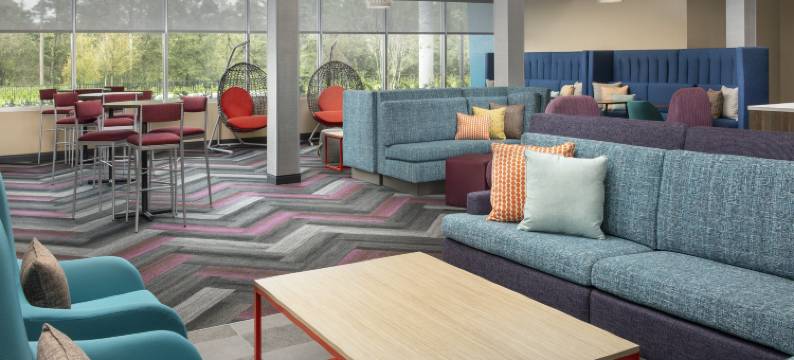 奥兰多会议中心区希尔顿特鲁酒店(Tru by Hilton Orlando Convention Center Area)图片