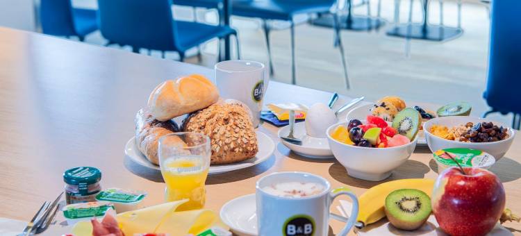 兰茨胡特住宿加早餐酒店(B&B HOTEL Landshut)图片