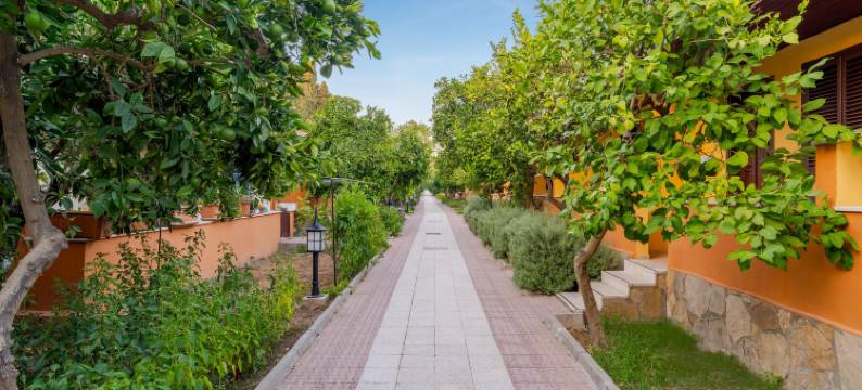 奥兹莱姆花园酒店(Ozlem Garden Hotel)图片