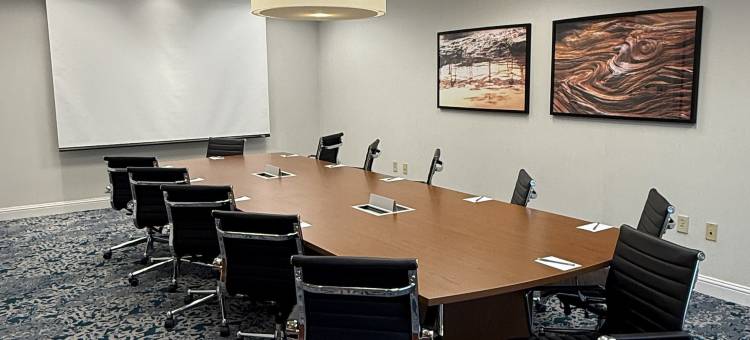 弗赖拉辛达拉斯希尔顿花园酒店(Hilton Garden Inn Dallas Frisco)图片