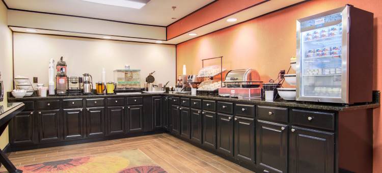 梅肯北I-75舒适套房酒店(Comfort Inn & Suites Macon North I-75)图片