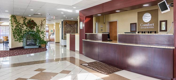 切萨皮克朴茨茅斯舒适套房酒店(Comfort Inn & Suites Chesapeake - Portsmouth)图片