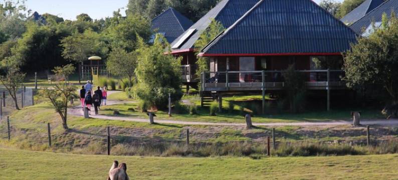 CERZA野生动物园小屋(Cerza Safari Lodge)图片