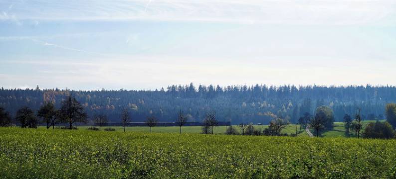 索内斯钦酒店餐厅(Hotel Restaurant Sonnenschein)图片