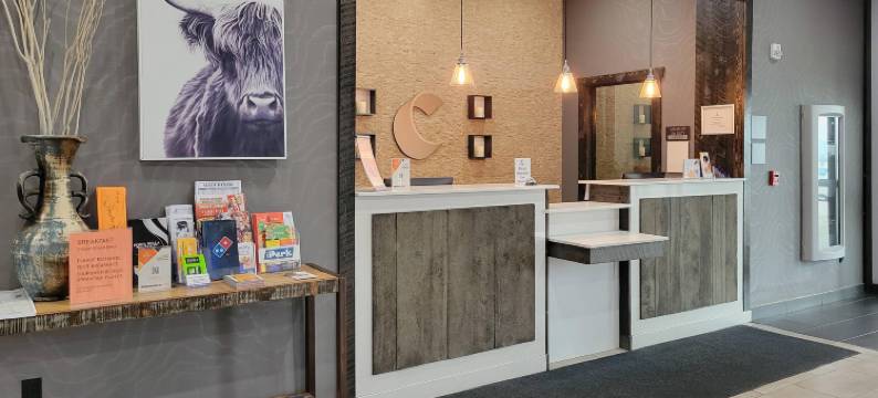 舒适套房酒店(Comfort Inn & Suites)图片