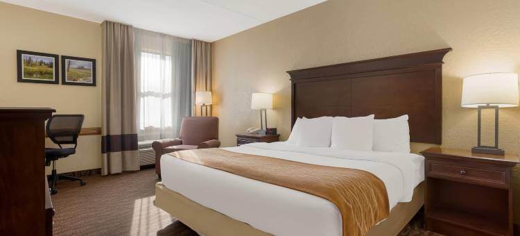 布兰森梅多斯舒适套房酒店(Comfort Inn & Suites Branson Meadows)图片