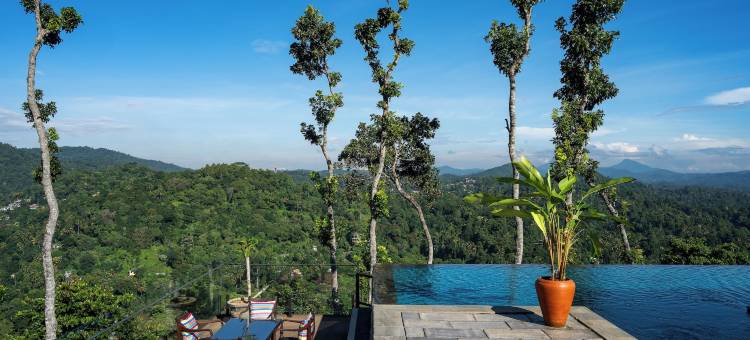 象舍公寓(The Elephant Stables)图片