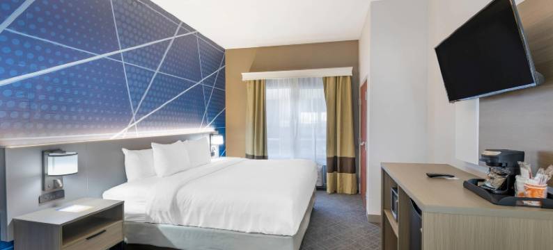 佩科斯舒适套房酒店(Comfort Suites)图片